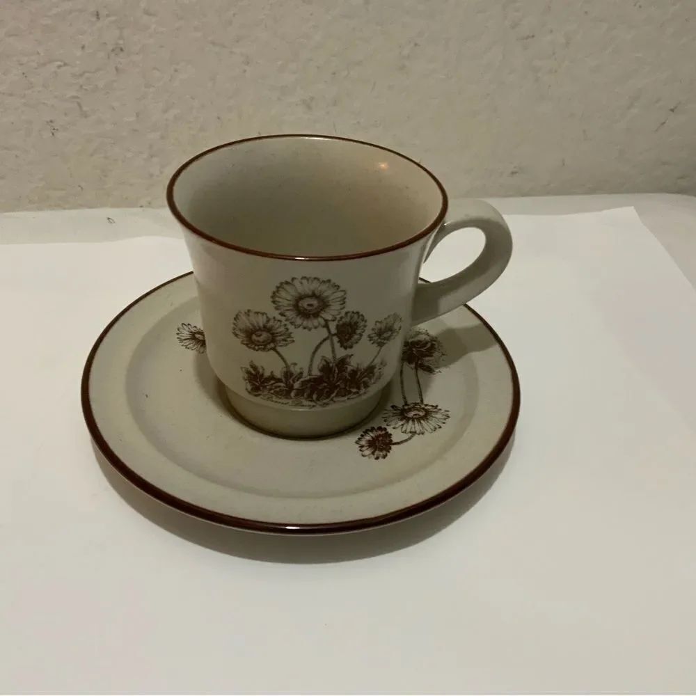 Noritake Cup & Saucer Set Desert Flowers B2